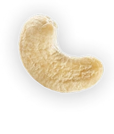 Cashews