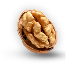 Walnuts