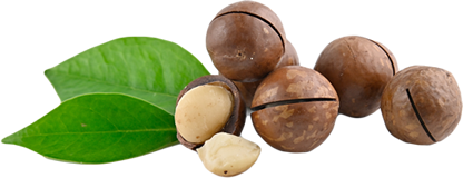 Finest quality dry fruits and nuts with rich taste and freshness – Keenuts