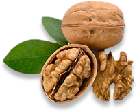 Premium Walnuts – rich in omega-3 and antioxidants | Keenuts
