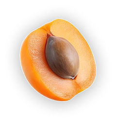 Apricots